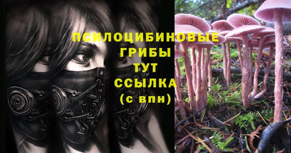 метамфетамин Медвежьегорск