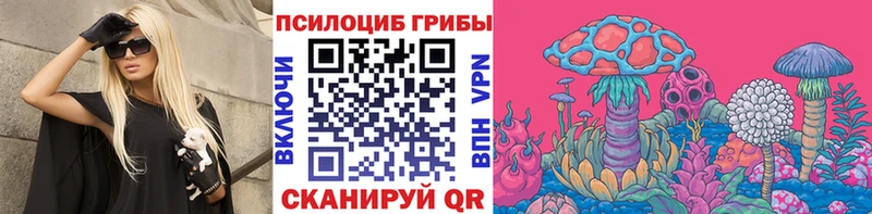 Псилоцибиновые грибы Cubensis  гидра как зайти  Хабаровск 