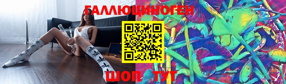 Галлюциногенные грибы Psilocybe  Вход с VPN  Хабаровск 