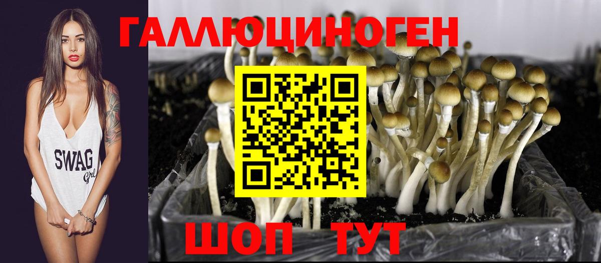 Псилоцибиновые грибы ЛСД Хабаровск